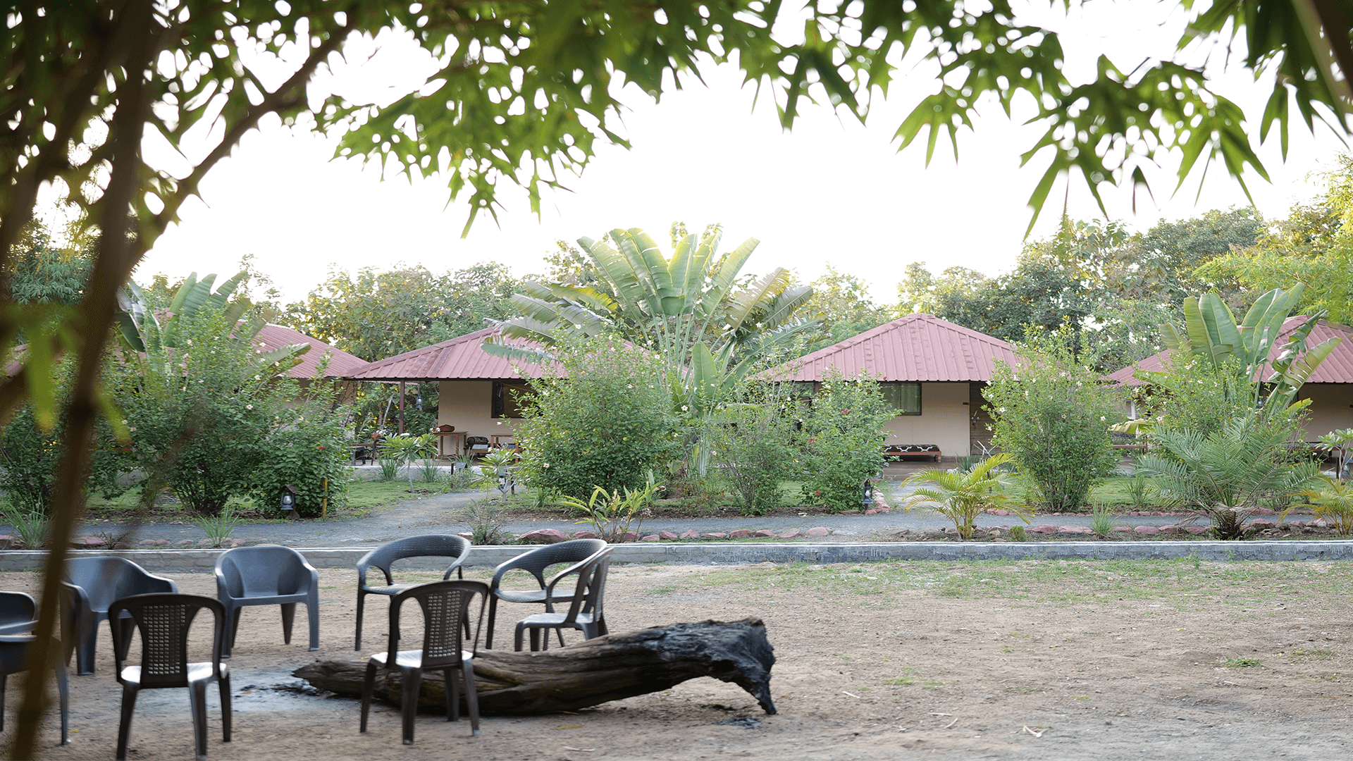 Tadoba Safari Stay — view 15