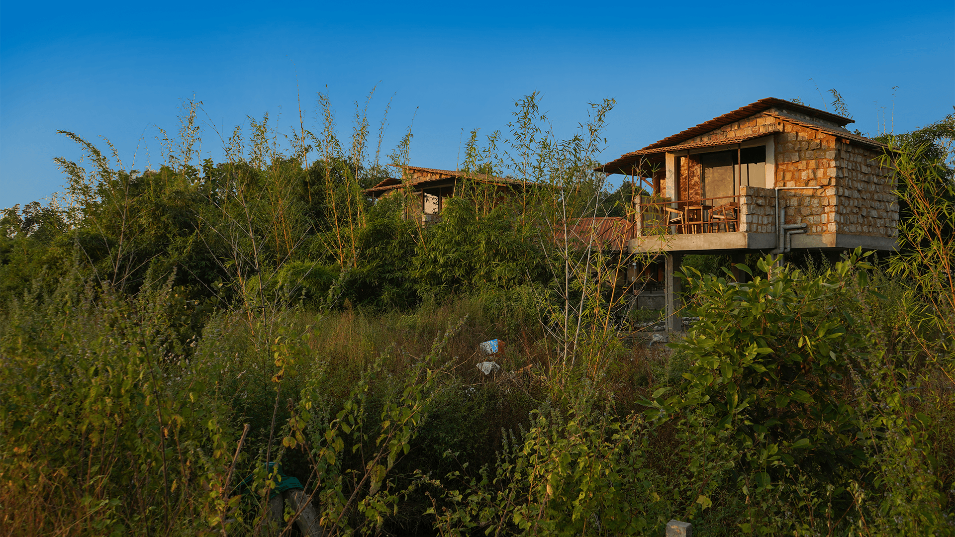 Tadoba Safari Stay