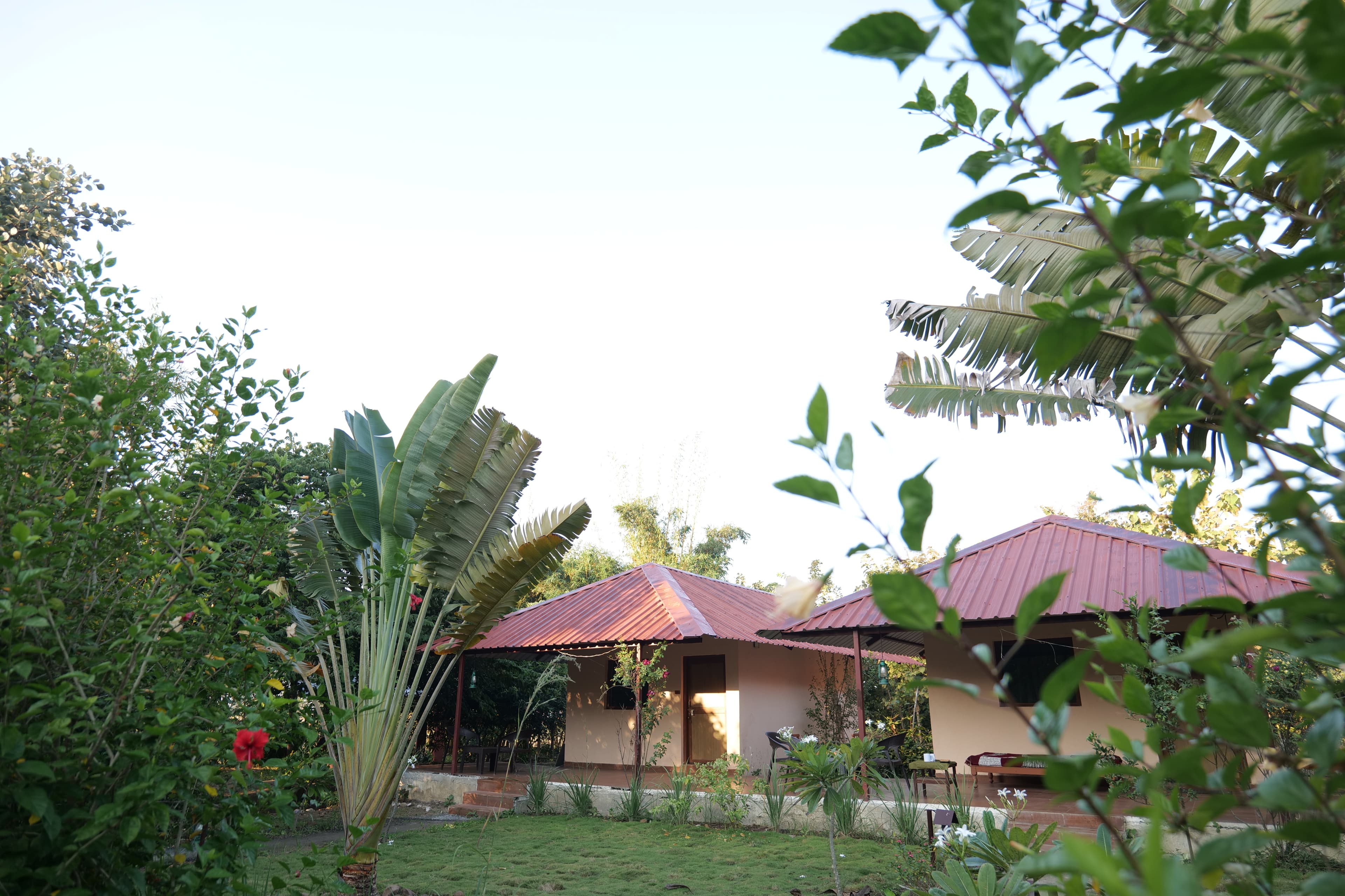 Tadoba Safari Stay